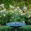 Solar Powered Floating Water Fountain